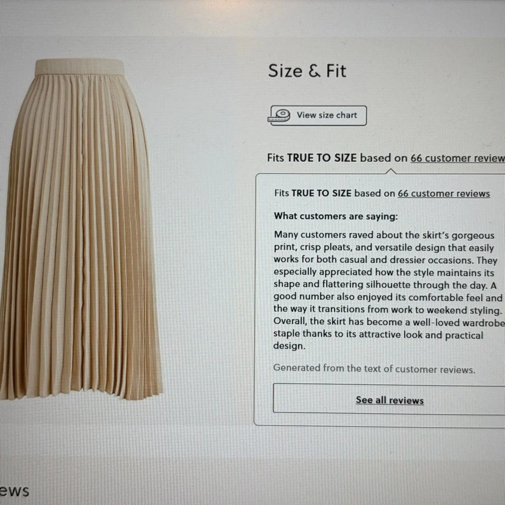 J. Crew Midi Skirt Pleated Champagne Satin Academia Holiday Cocktail Classic XL